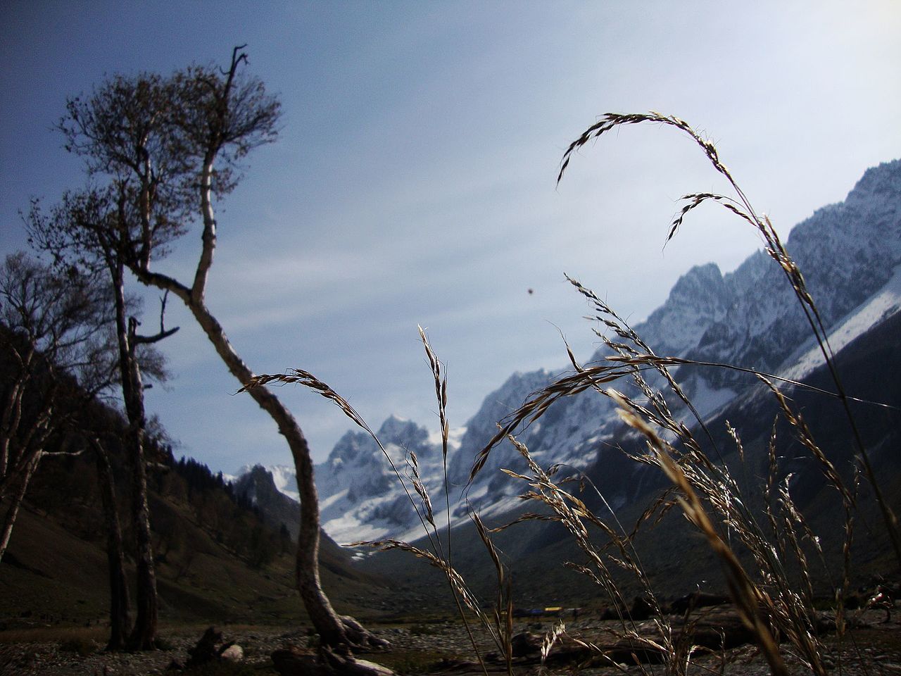 Taken in Sonamarg, Kashmir during October / India-China Strategic Dialogue