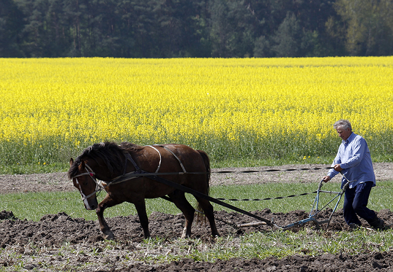 Ukraine land reform