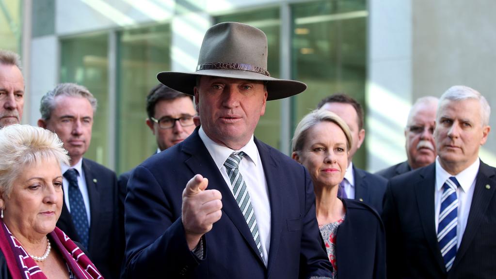 Barnaby Joyce could lose his job over a citizenship scandal