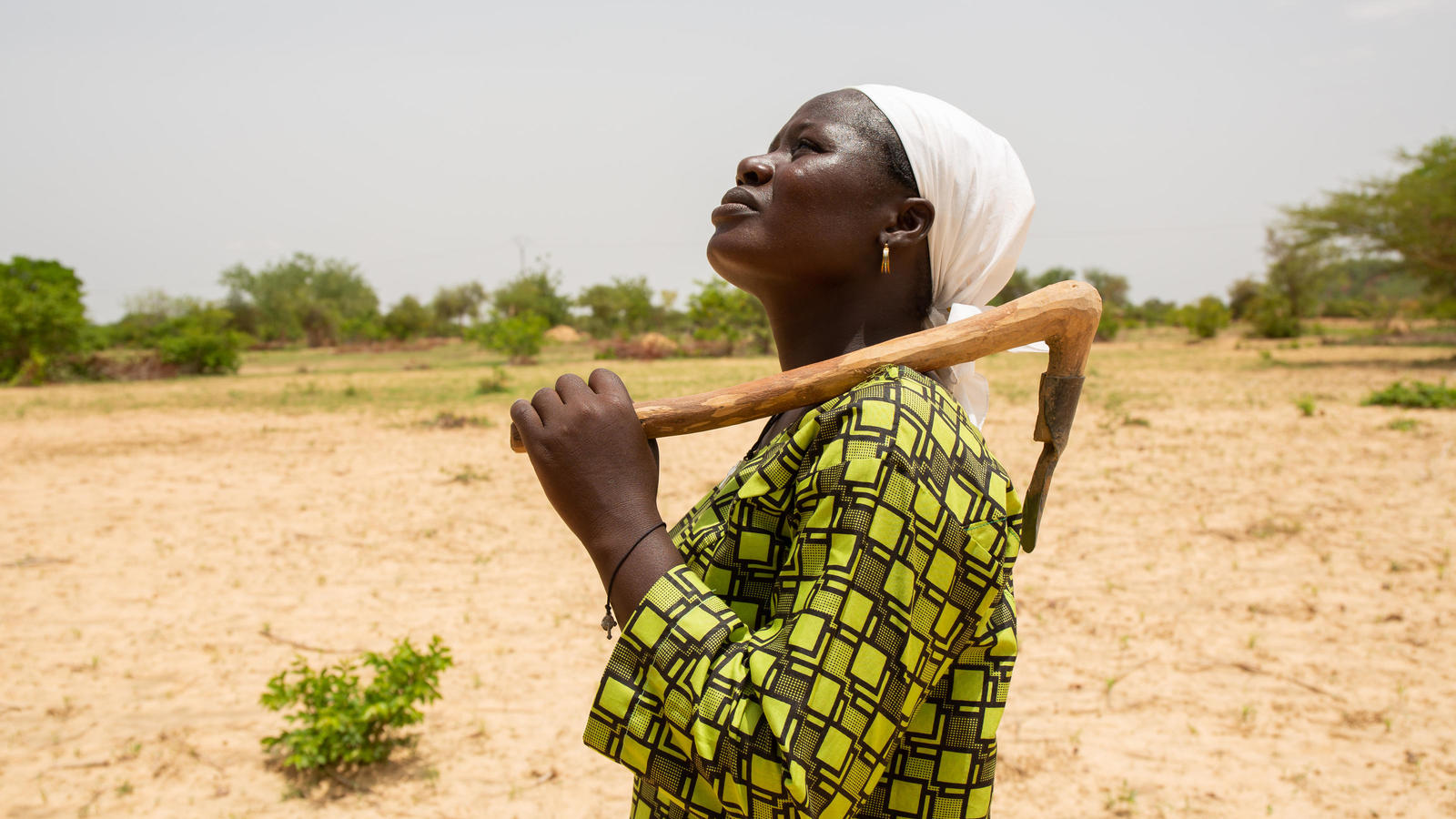 Africa Climate Week