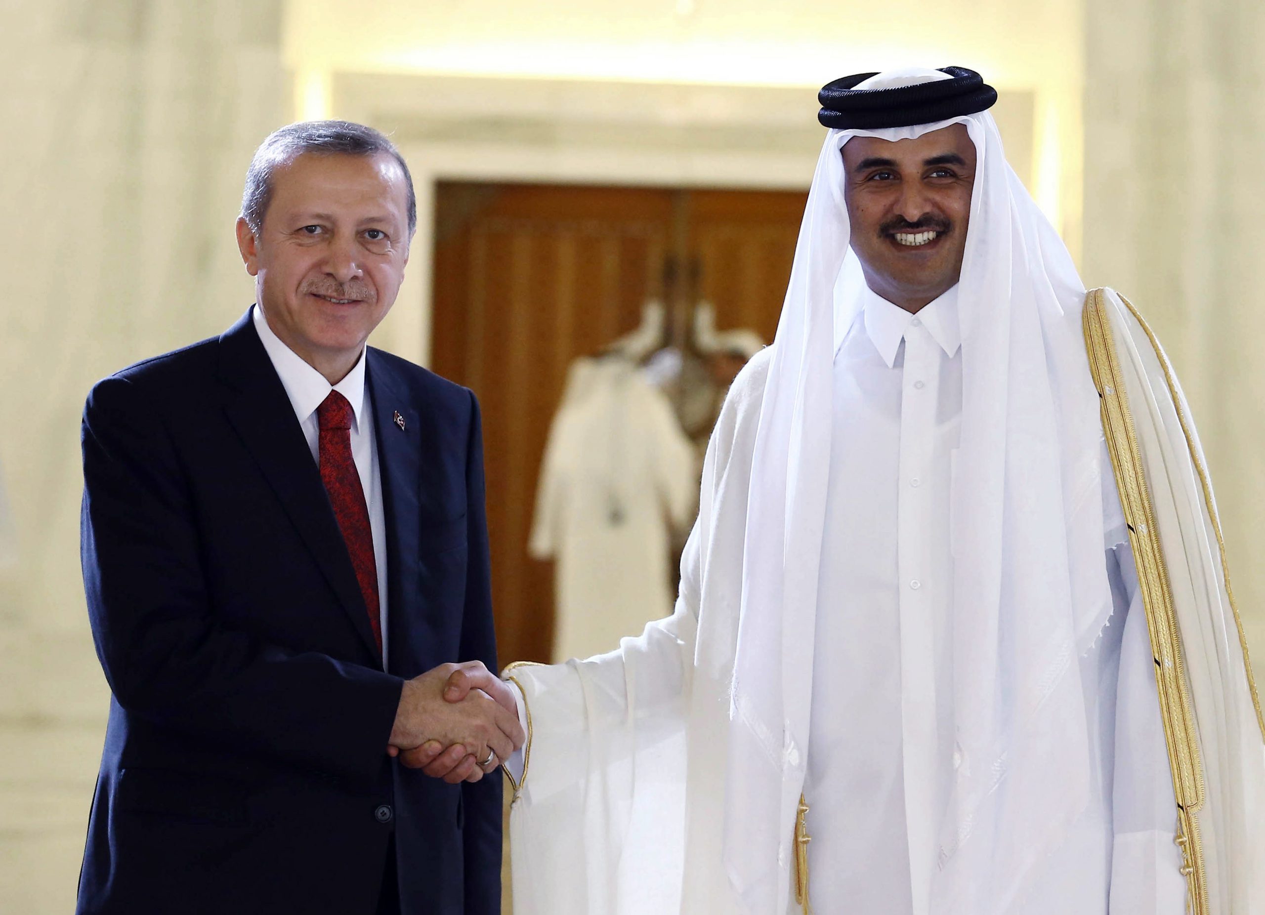 Recep Tayyip Erdogan, Tamim bin Hamad Al Thani