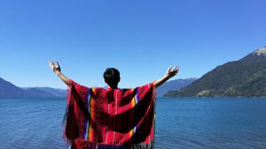 Chile’s presidential election: the resurgence of Pinera
