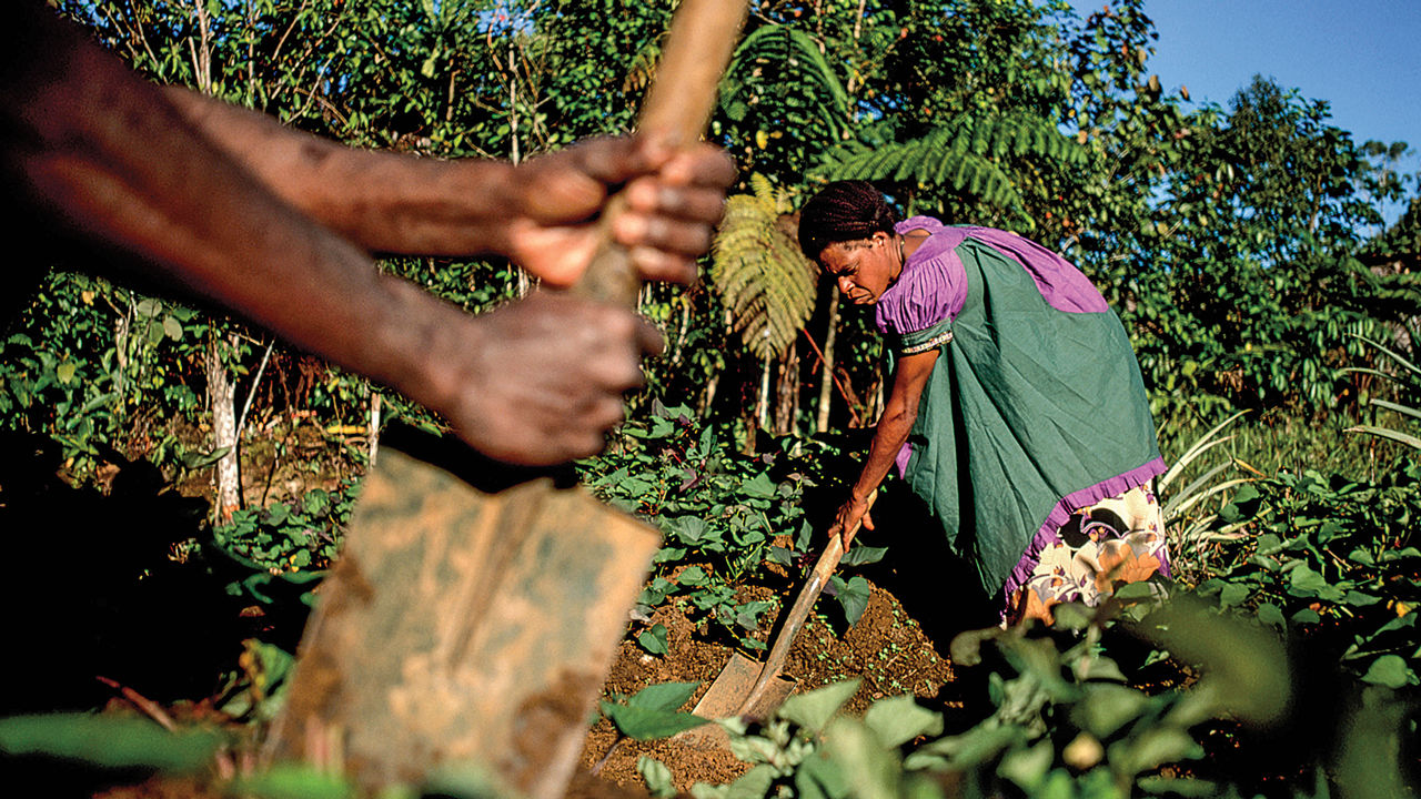 pns_agriculture