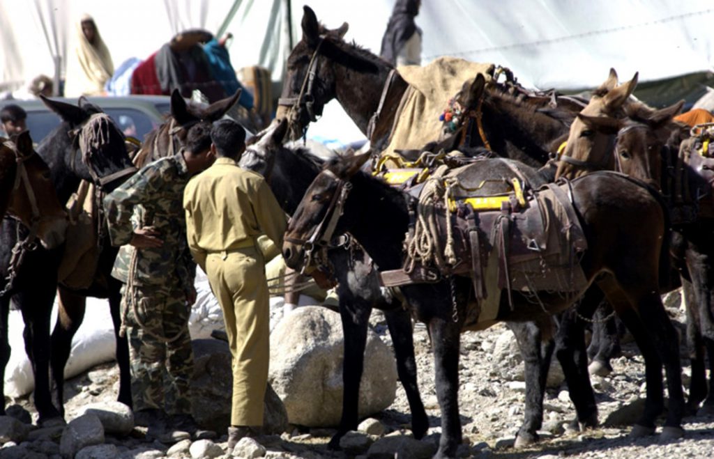 BALAKOT, Pakistan -- Pakistani Soldiers are using mules to get much needed relief supplies to earthquake victims in remote mountainous areas of this country. This team left Oct. 20 after U.S. military helicopters flew relief supplies here. The Oct. 8 earthquake devastated parts of Pakistan, India and Kashmir. The U.S. military is playing a key role in transporting relief supplies into the country, and then using helicopters to get it to remote areas. / Khan
