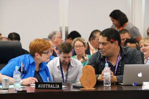 2019 forecast: Australia, New Zealand and Pacific Resets