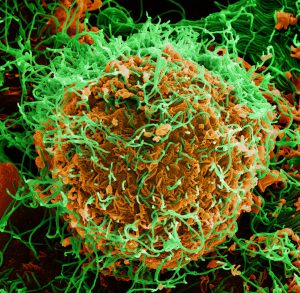 The DRC’s ongoing battle with the Ebola virus