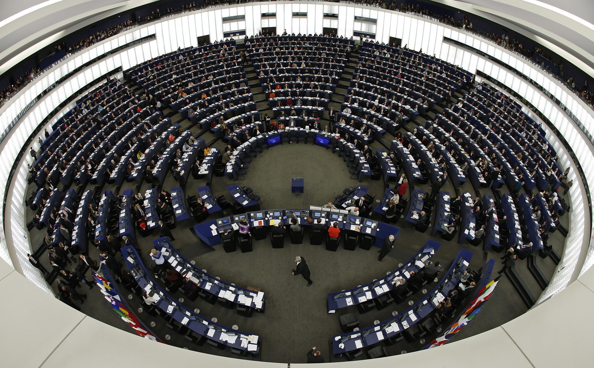 eu elections parliament