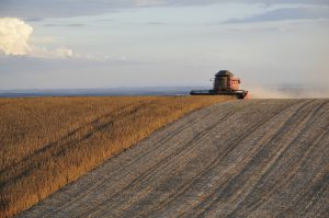 Why the US-China trade deal will remain ineffectual
