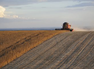 Why the US-China trade deal will remain ineffectual