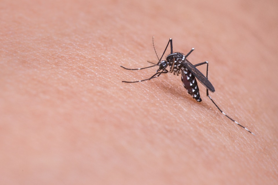 Philippines measles