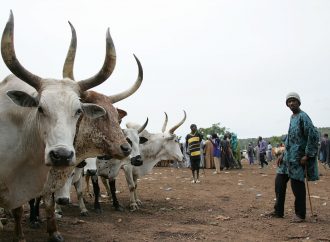 The Ogossagou massacre: Mali’s ethnic and Islamist divisions