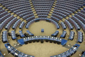 European parliamentary elections: unity through division