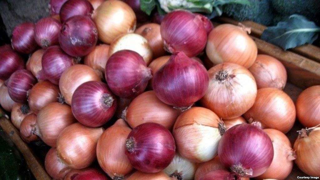 Iran onion export ban