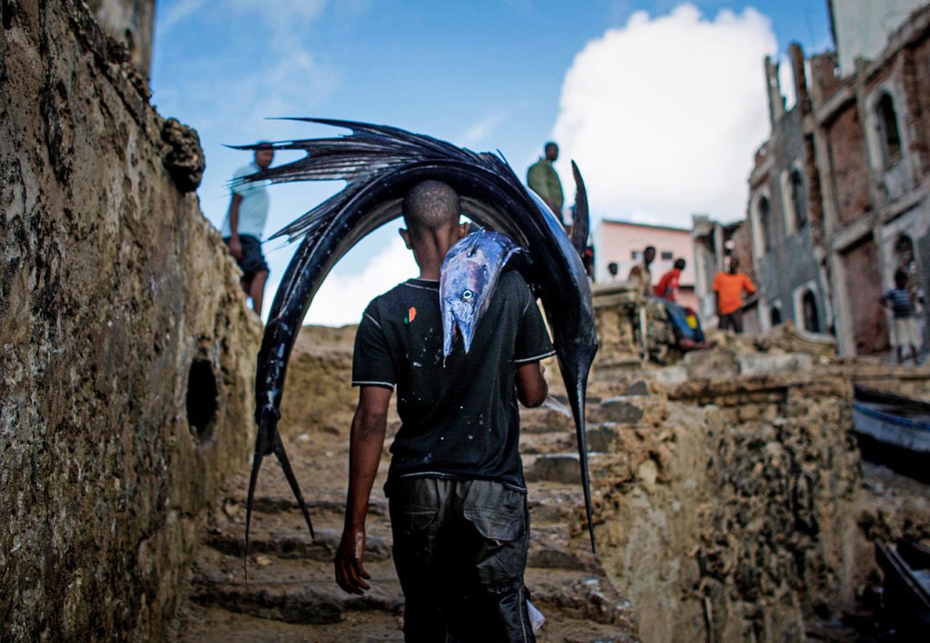 A Somali man carries a large sailfish on his head as he transports it to Mogadishu's fish market in the Xamar Weyne district of the Somali capital, 16 March, 2013. / al-Shabaab recruitment