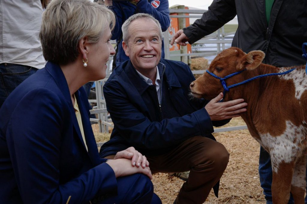 Taking in Tassie's best at Agfest / 2019 Australian federal election