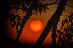 Hotter and drier: environmental disasters in Australia