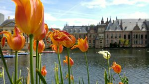 Last call for Rutte? A look at the upcoming Dutch election