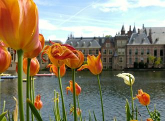 Last call for Rutte? A look at the upcoming Dutch election