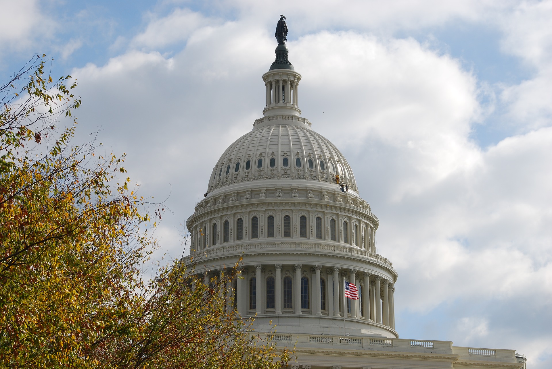 washington 1880341 1920