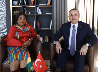 Turkish FM Cavusoglu to conclude West Africa visit