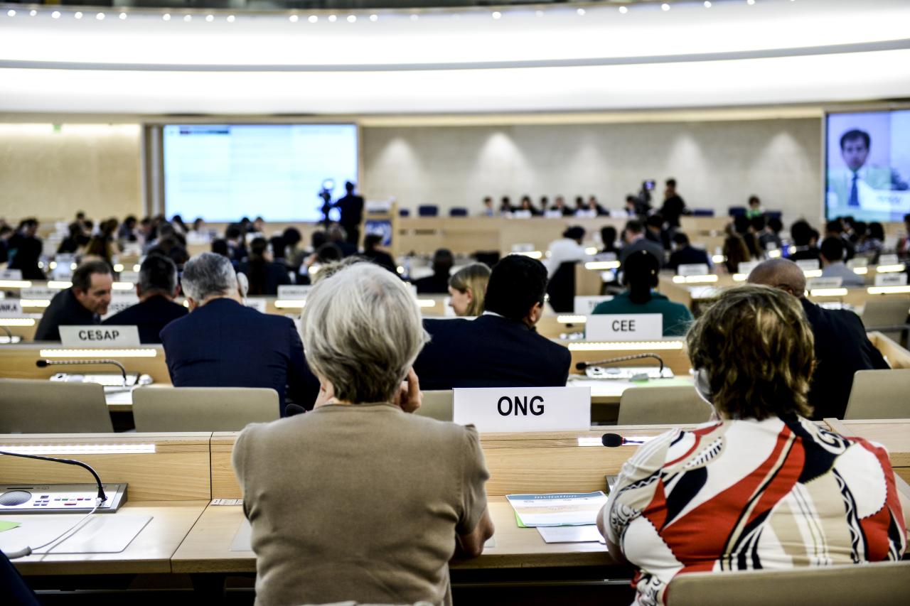A meeting of the UN Human Rights Council in Switzerland